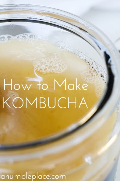 How to Make Kombucha