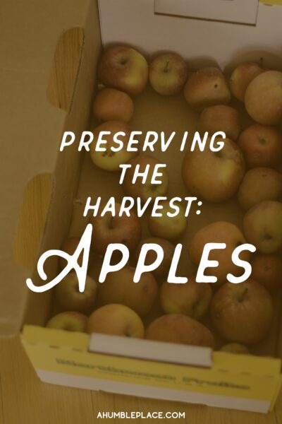 Preserving Apples - ahumbleplace.com