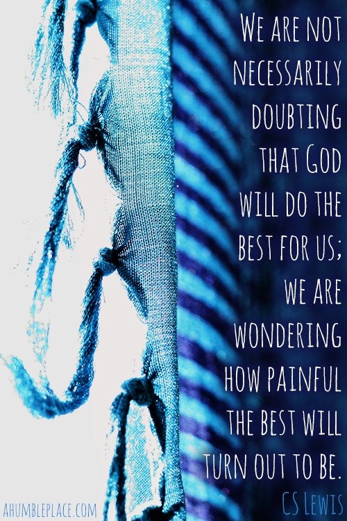 We are not necessarily doubting that God will do the best for us; we are wondering how painful the best will turn out to be. CS Lewis - ahumbleplace.com