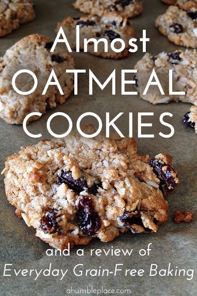 Almost Oatmeal Cookes (GF, DF) - ahumbleplace.com