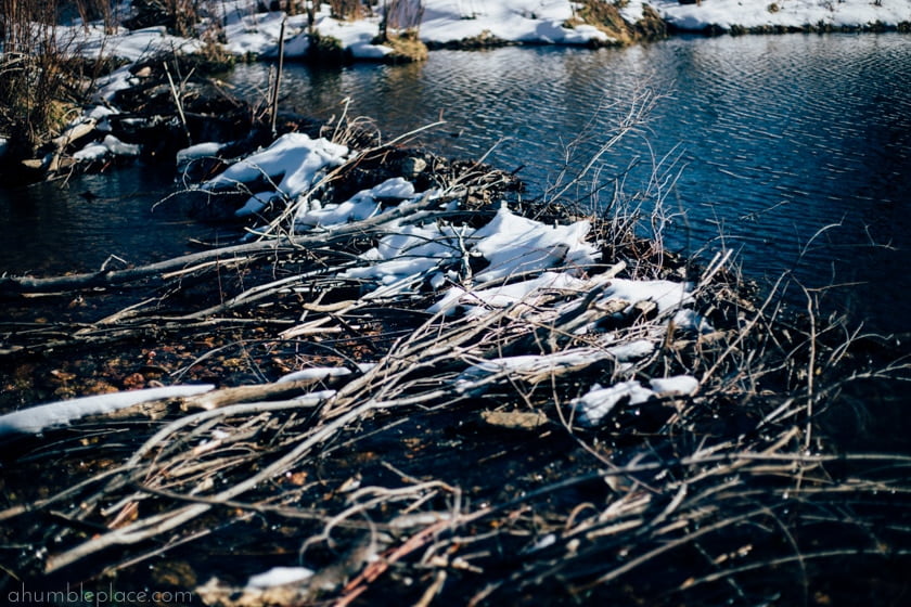 best place in a dam site (ahumbleplace.com)