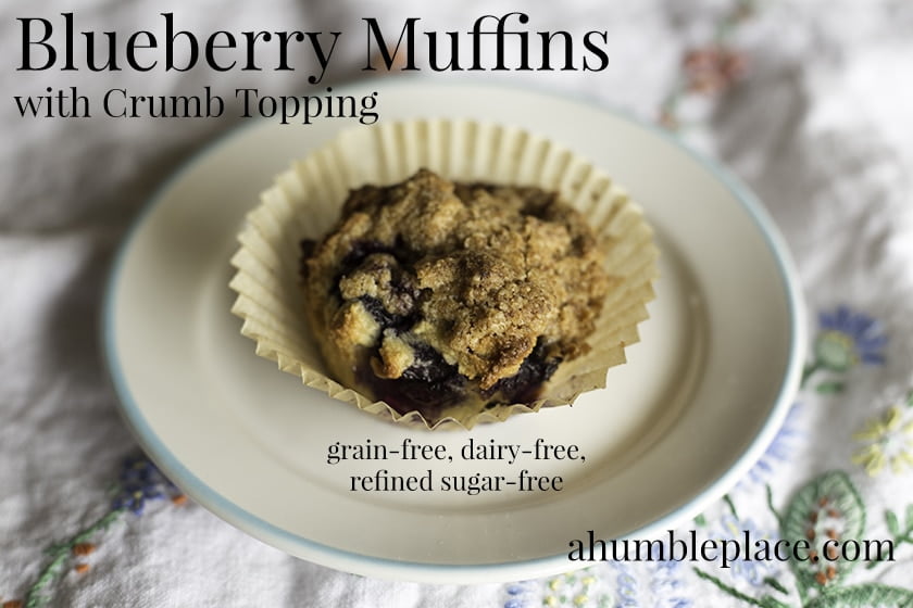 Looking for a grain-free, dairy-free, refined sugar-free blueberry muffin recipe? This one will definitely satisfy!