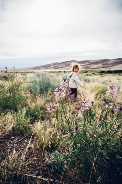 Great Sand Dunes - ahumbleplace.com