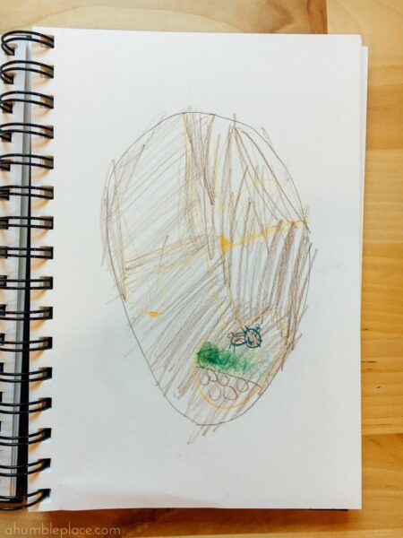 Nature sketchbook! Charlotte Mason-Inspired Kindergarten Curriculum (Year 0.5) - ahumbleplace.com