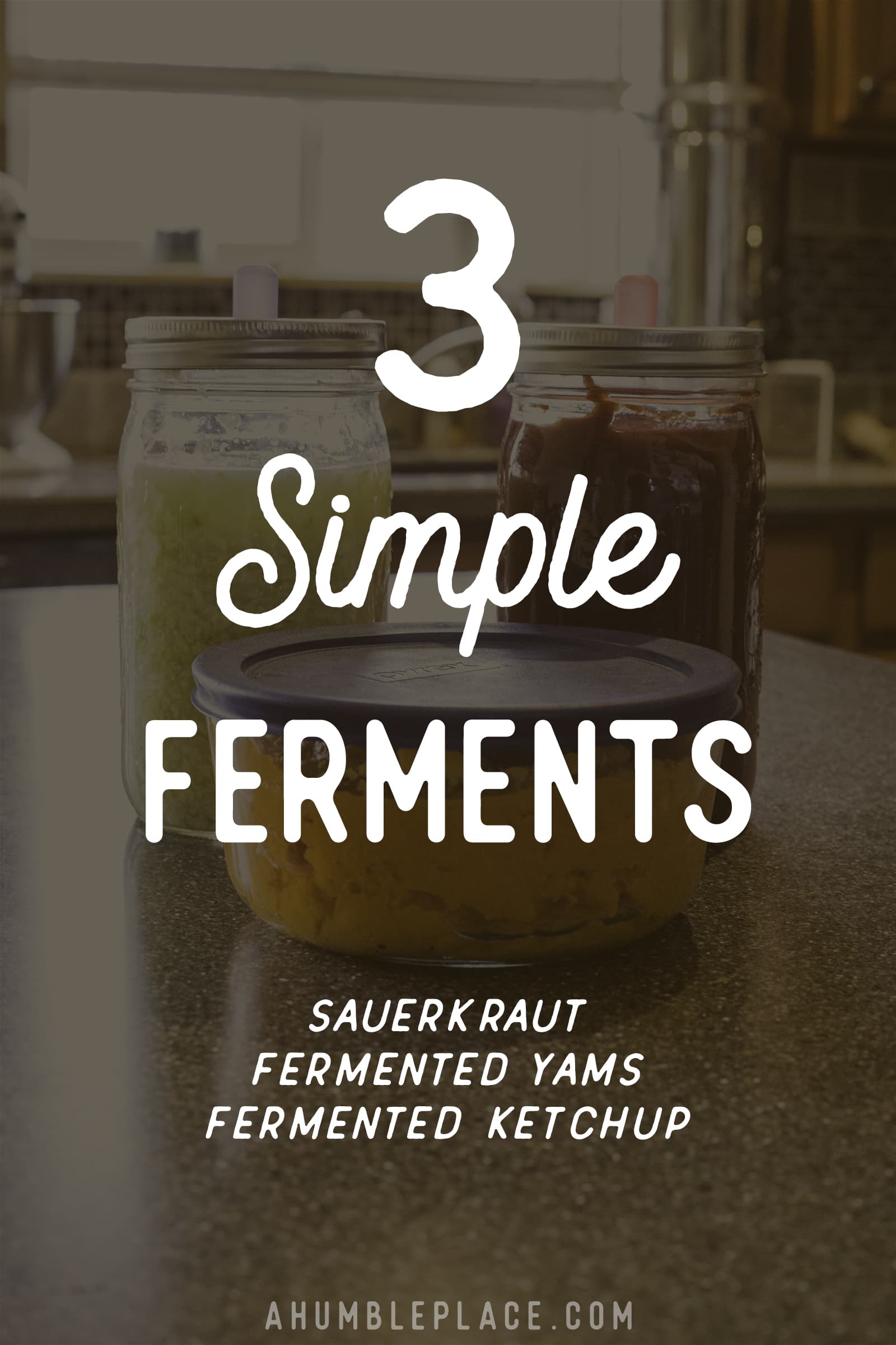 3 Simple Ferments - ahumbleplace.com