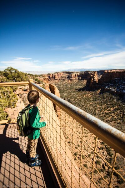 Western Colorado Junior Ranger Badges - ahumbleplace.com