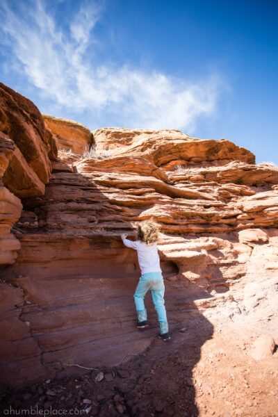 Western Colorado Junior Ranger Badges - ahumbleplace.com