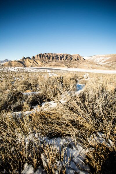 Western Colorado Junior Ranger Badges - ahumbleplace.com