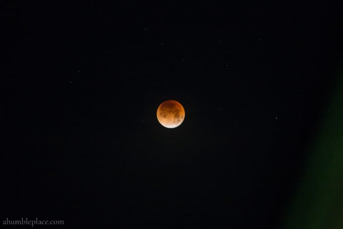 Super Blue Blood Moon - January 31st - ahumbleplace.com