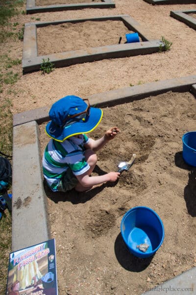 Florissant Fossil Beds Junior Ranger - ahumbleplace.com