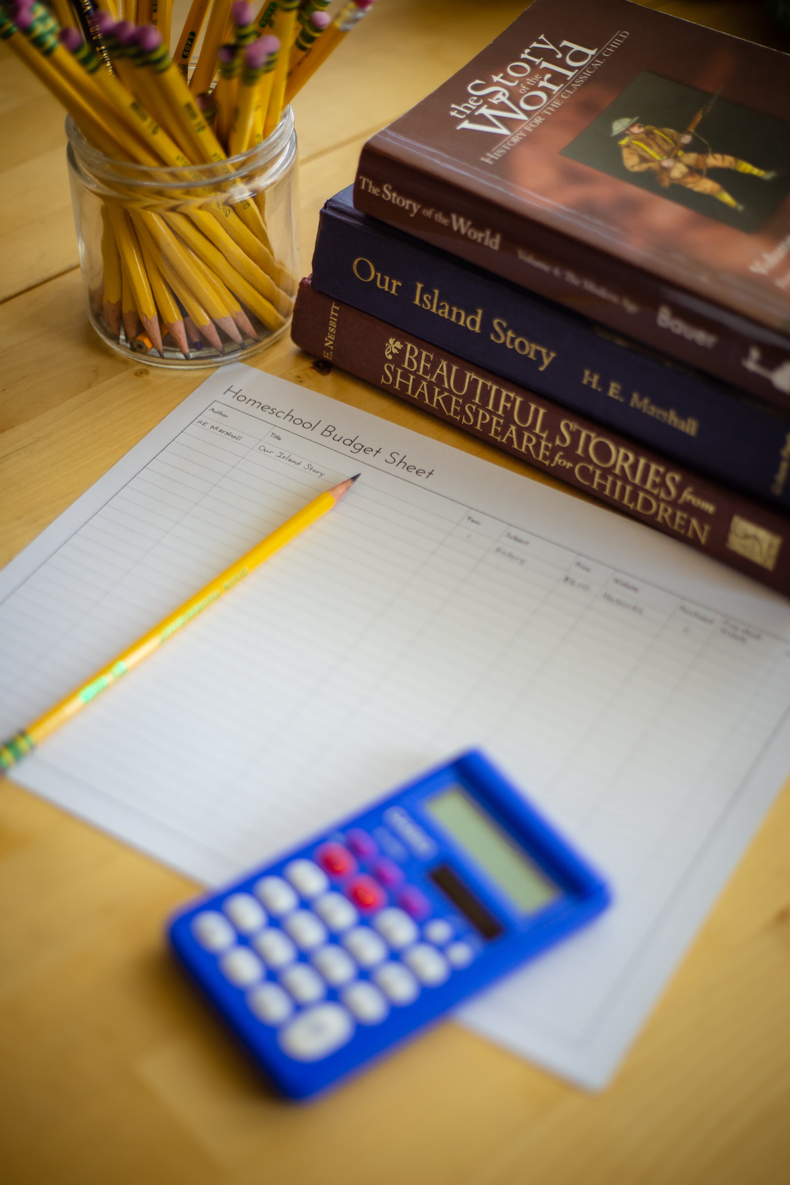 How to Save Money While Homeschooling (& free printable book budget sheet!)