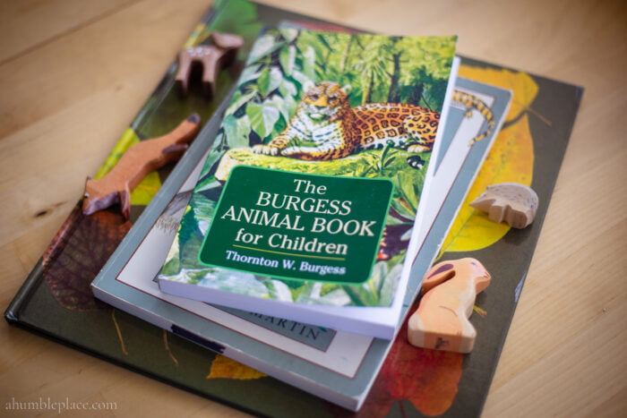 40+ Burgess Animal Book for Children Videos - ahumbleplace.com