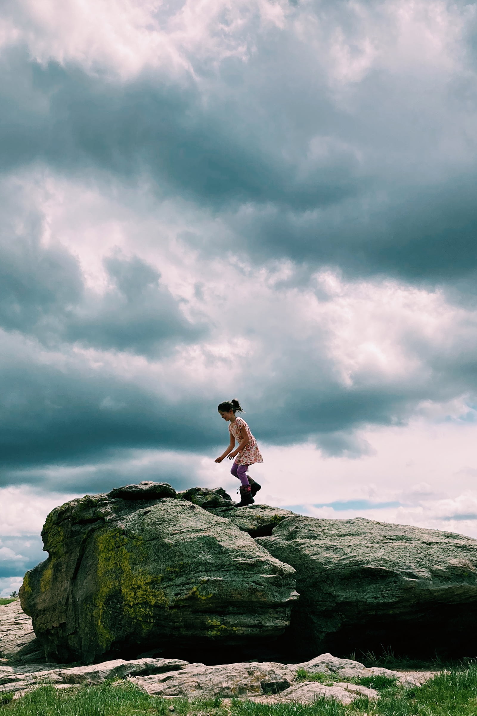 How Our Homeschool Nature Study Teaches us to See Beauty Everywhere