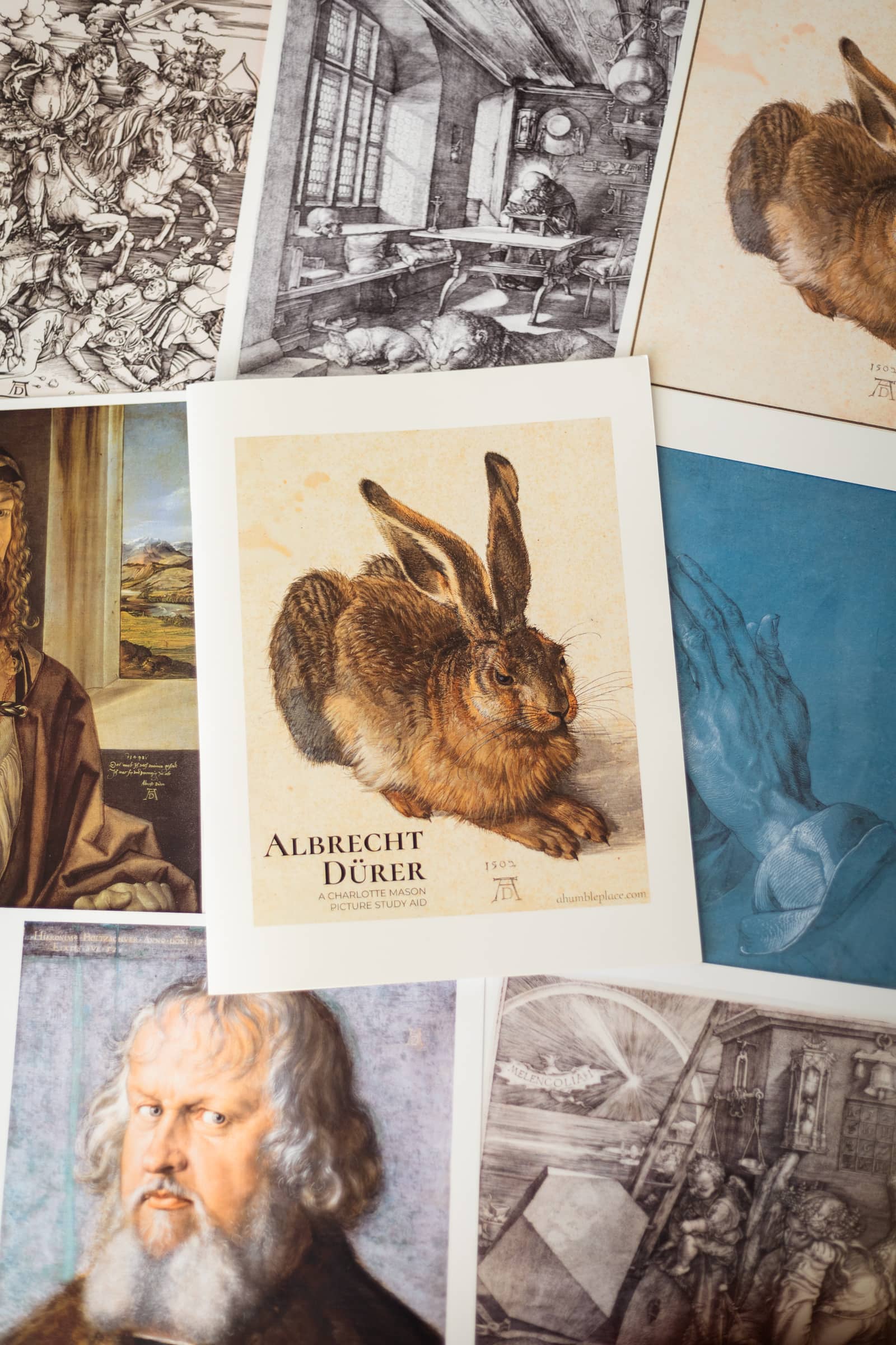 Albrecht Dürer Picture Study Aid and Art Prints