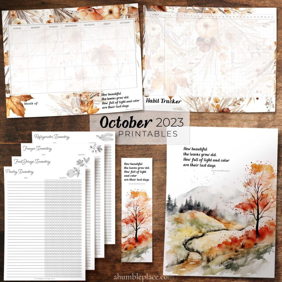 James Burroughs "How beautiful the leaves..." Quote with Autumn Watercolors Print (October 2023 Patreon Download)