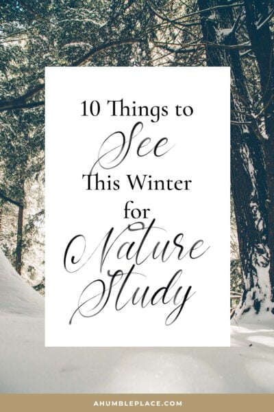 Winter Nature Study Subjects - ahumbleplace.com