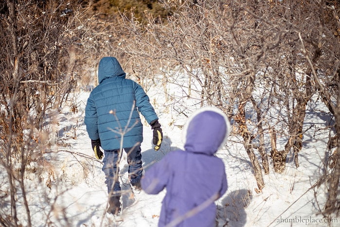 Winter Nature Study Subjects - ahumbleplace.com