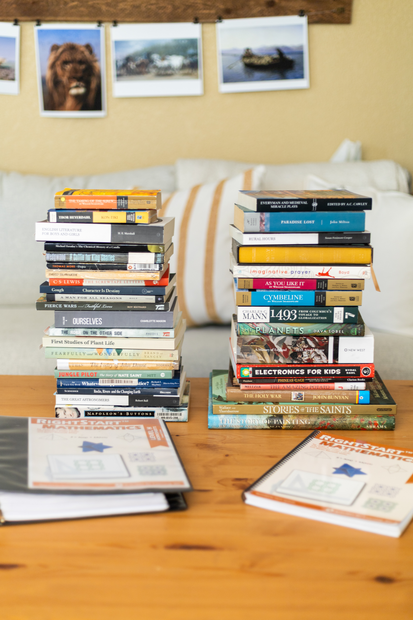 Our Charlotte Mason Homeschool Eighth Grade Recap