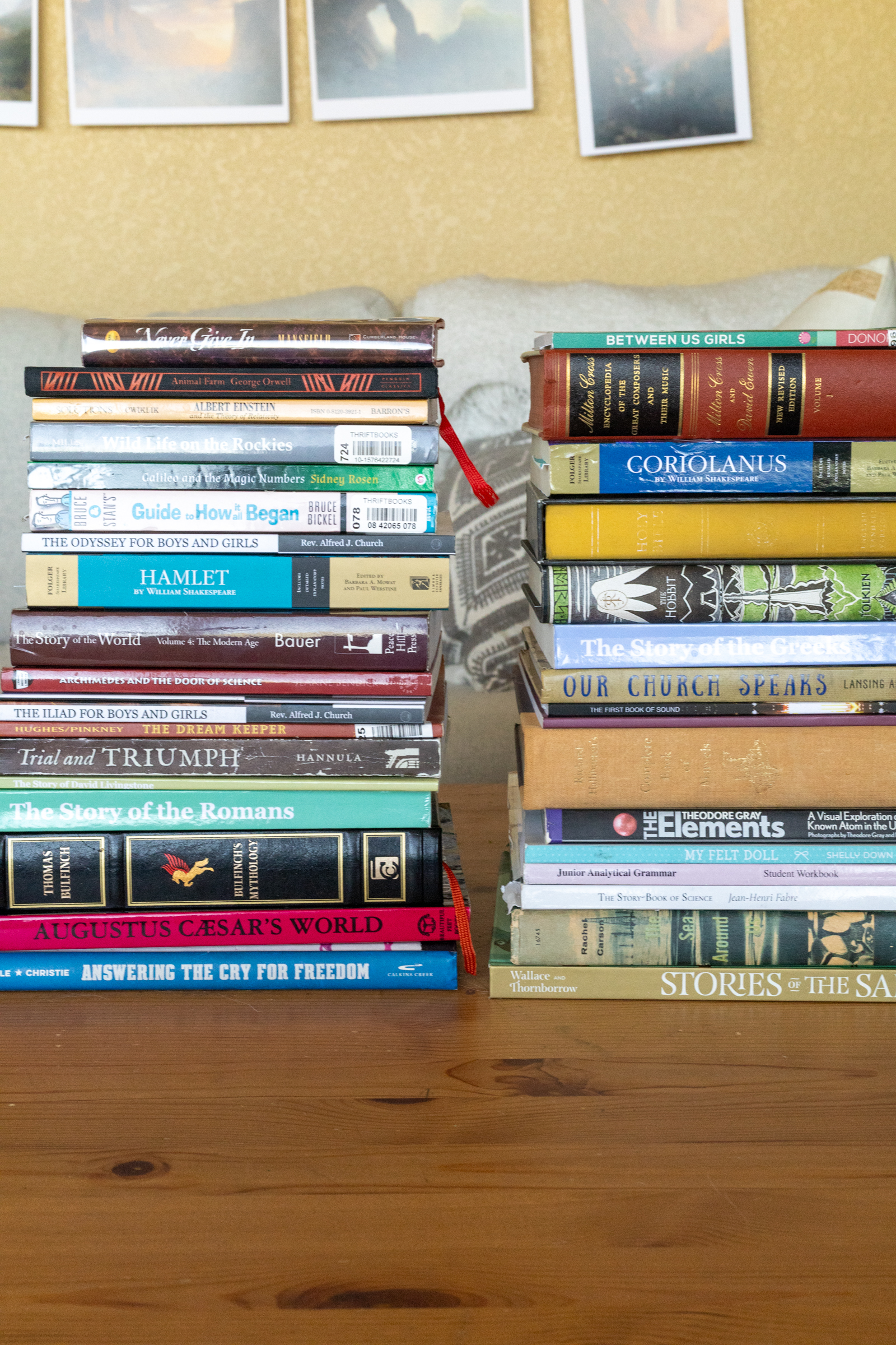 Our Charlotte Mason Homeschool Sixth Grade Recap (take 2!)