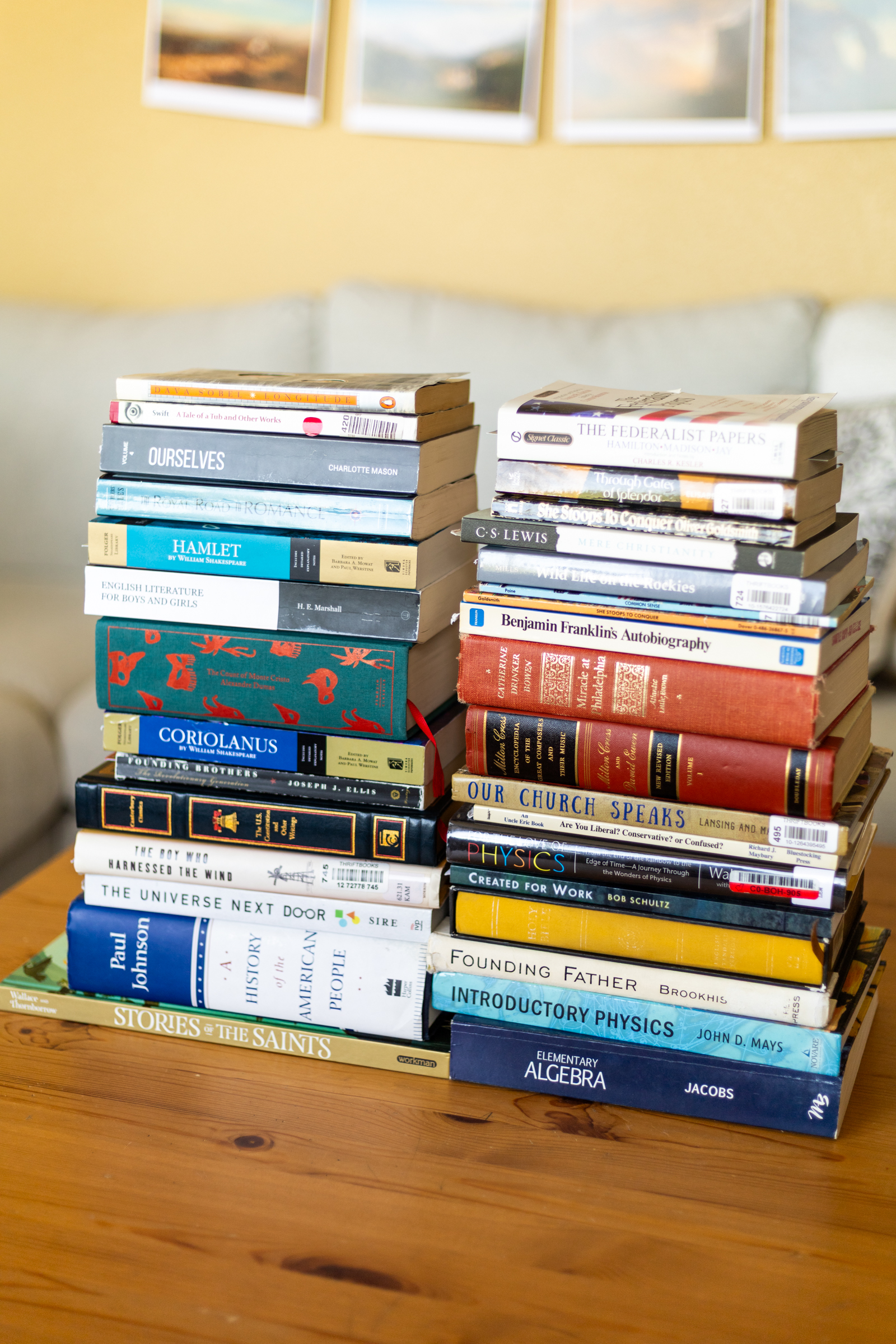 Our Charlotte Mason Homeschool Ninth Grade Recap